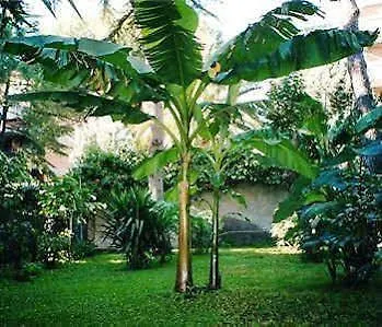 Hotel Il Giardino Di Giulia 2 Rzym