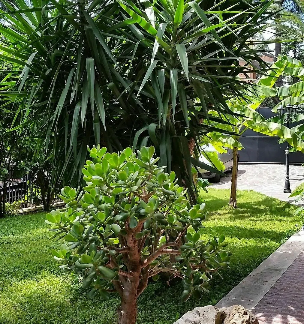 Hotel Il Giardino Di Giulia 2 Rzym