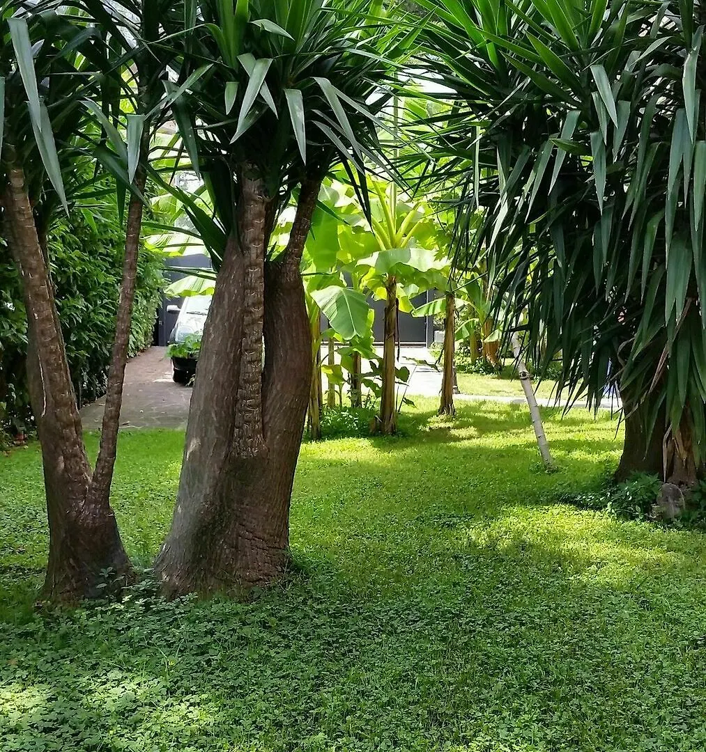 Hotel Il Giardino Di Giulia 2 Rzym Włochy