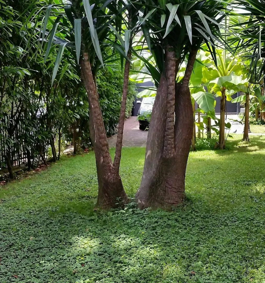 Hotel Il Giardino Di Giulia 2 Rzym 3*,