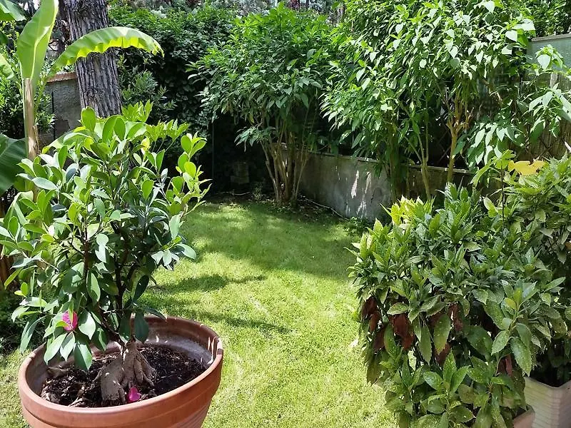 Hotel Il Giardino Di Giulia 2 Rzym